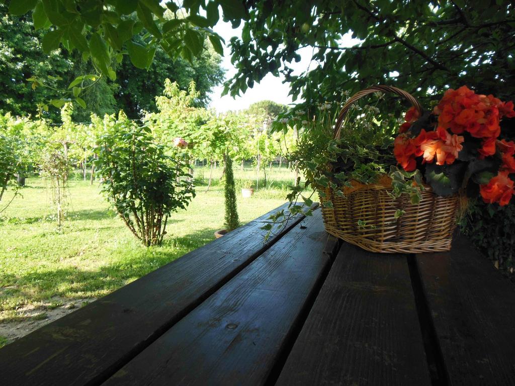 Terzo d' Aquileia Al Pic De Corone B&B 외부 사진