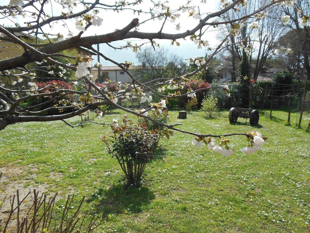 Terzo d' Aquileia Al Pic De Corone B&B 외부 사진