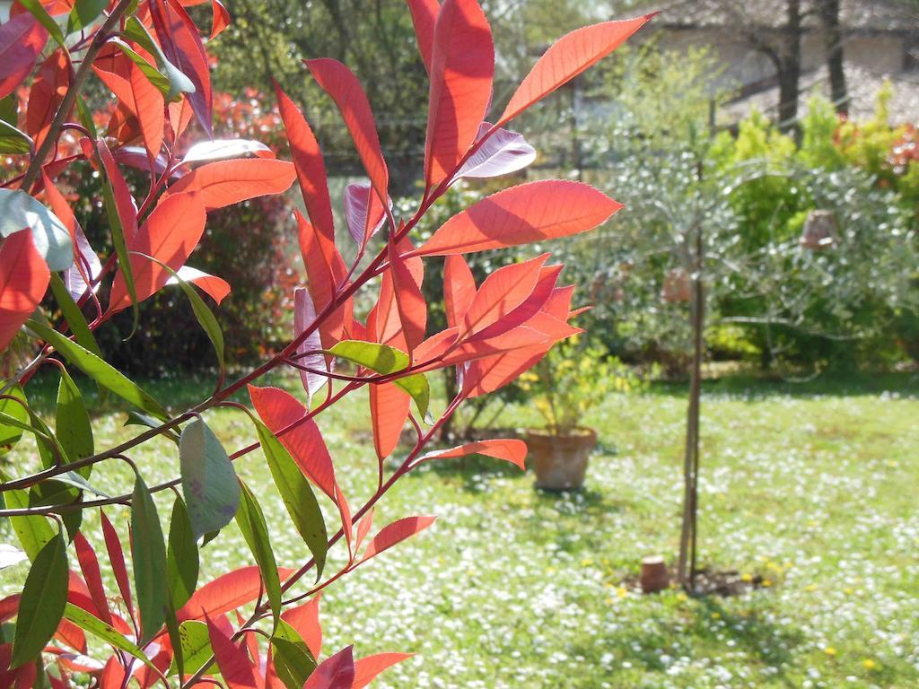 Terzo d' Aquileia Al Pic De Corone B&B 외부 사진