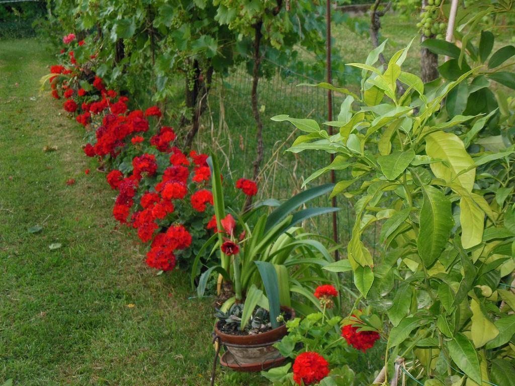 Terzo d' Aquileia Al Pic De Corone B&B 외부 사진