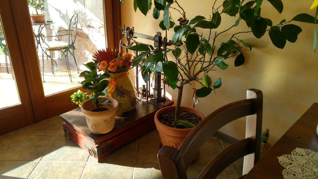 Terzo d' Aquileia Al Pic De Corone B&B 외부 사진