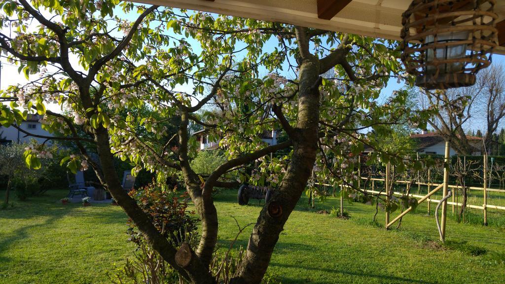 Terzo d' Aquileia Al Pic De Corone B&B 외부 사진