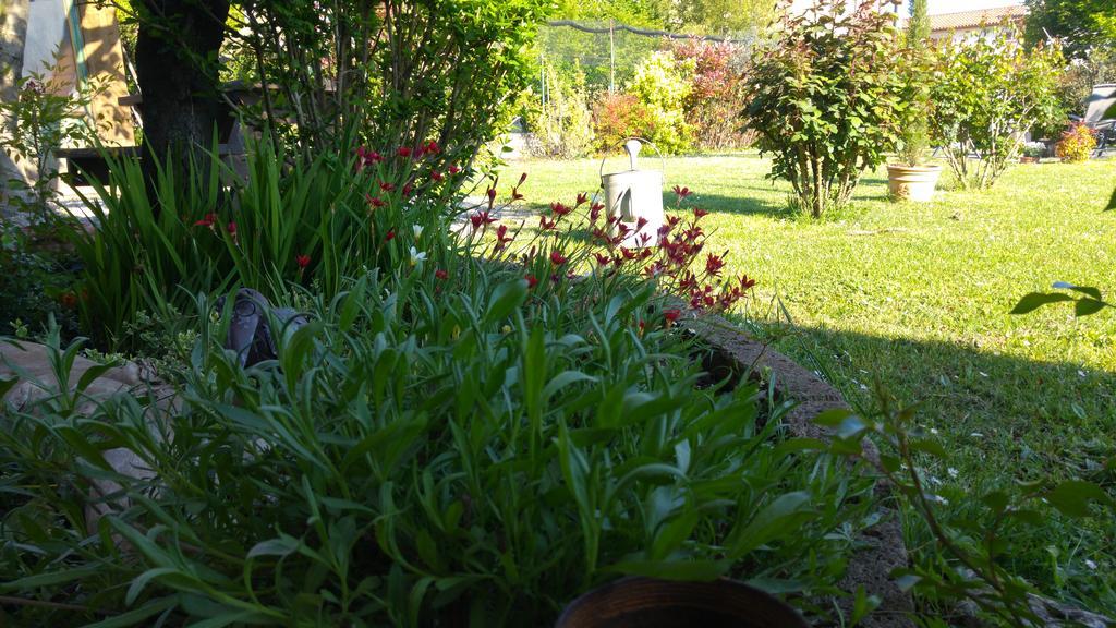 Terzo d' Aquileia Al Pic De Corone B&B 외부 사진