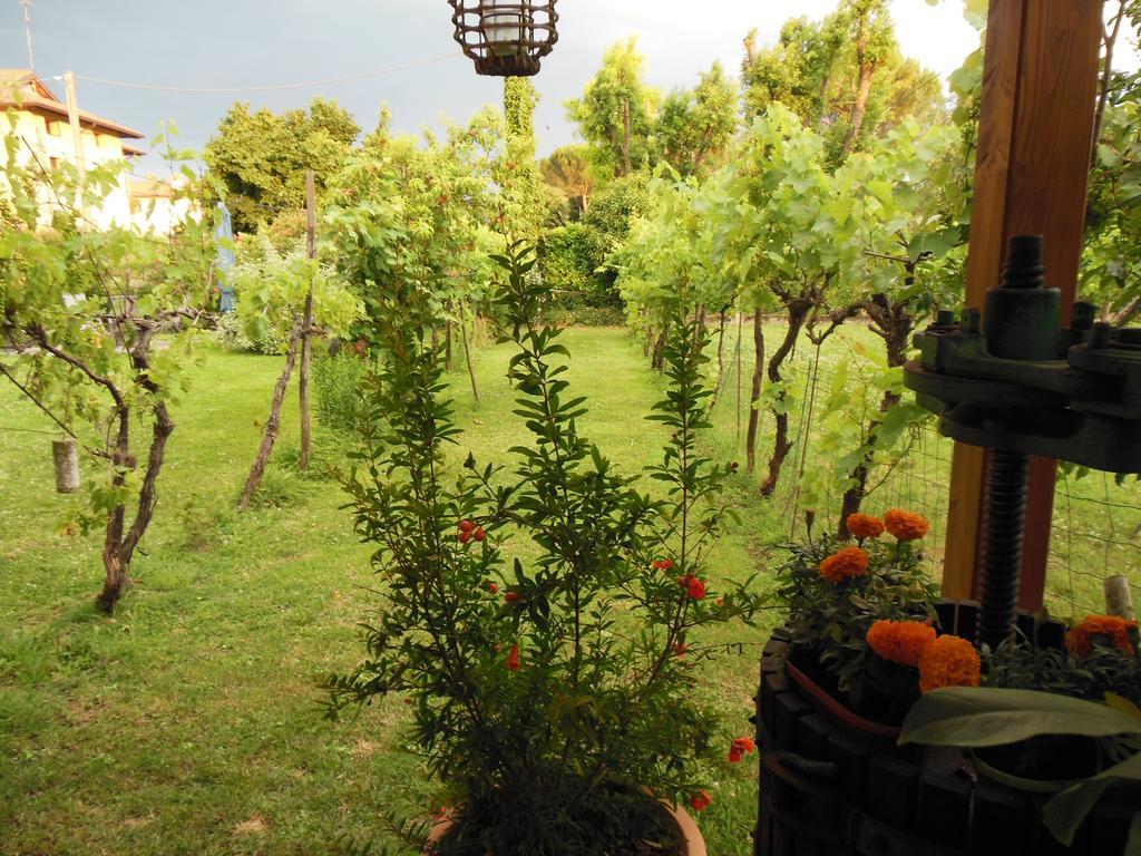 Terzo d' Aquileia Al Pic De Corone B&B 외부 사진
