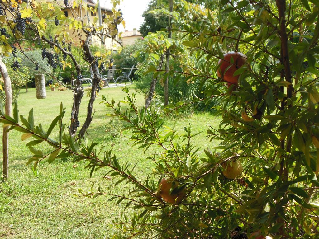 Terzo d' Aquileia Al Pic De Corone B&B 외부 사진